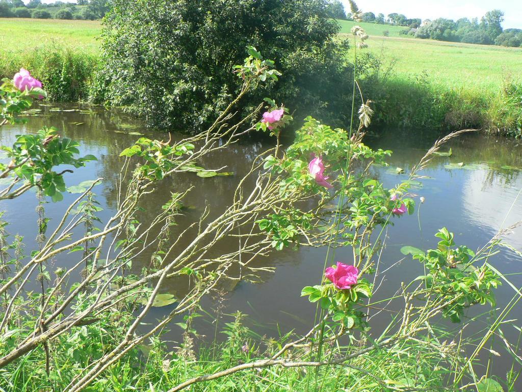 Gite De L'Aure Trevieres ภายนอก รูปภาพ